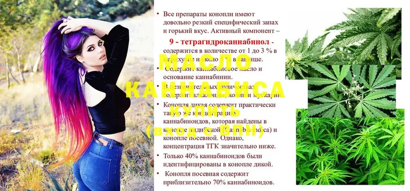 ТГК THC oil  блэк спрут онион  Александровск-Сахалинский 